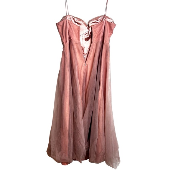 Selfie Leslie SMITTEN LACE INSERT TULLE MIDI DRESS BLUSH NEW! SZXL - Picture 8 of 15